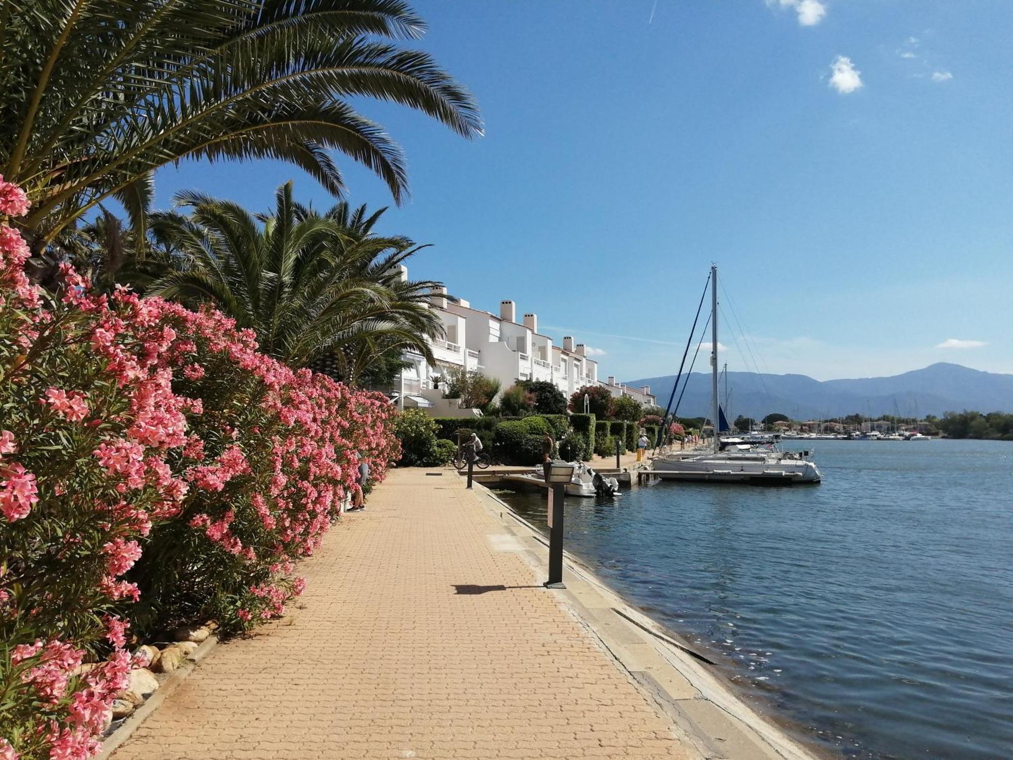 Appartamento Vue Lagune Et Bateaux A 100M De La Plage Saint-Cyprien  Esterno foto