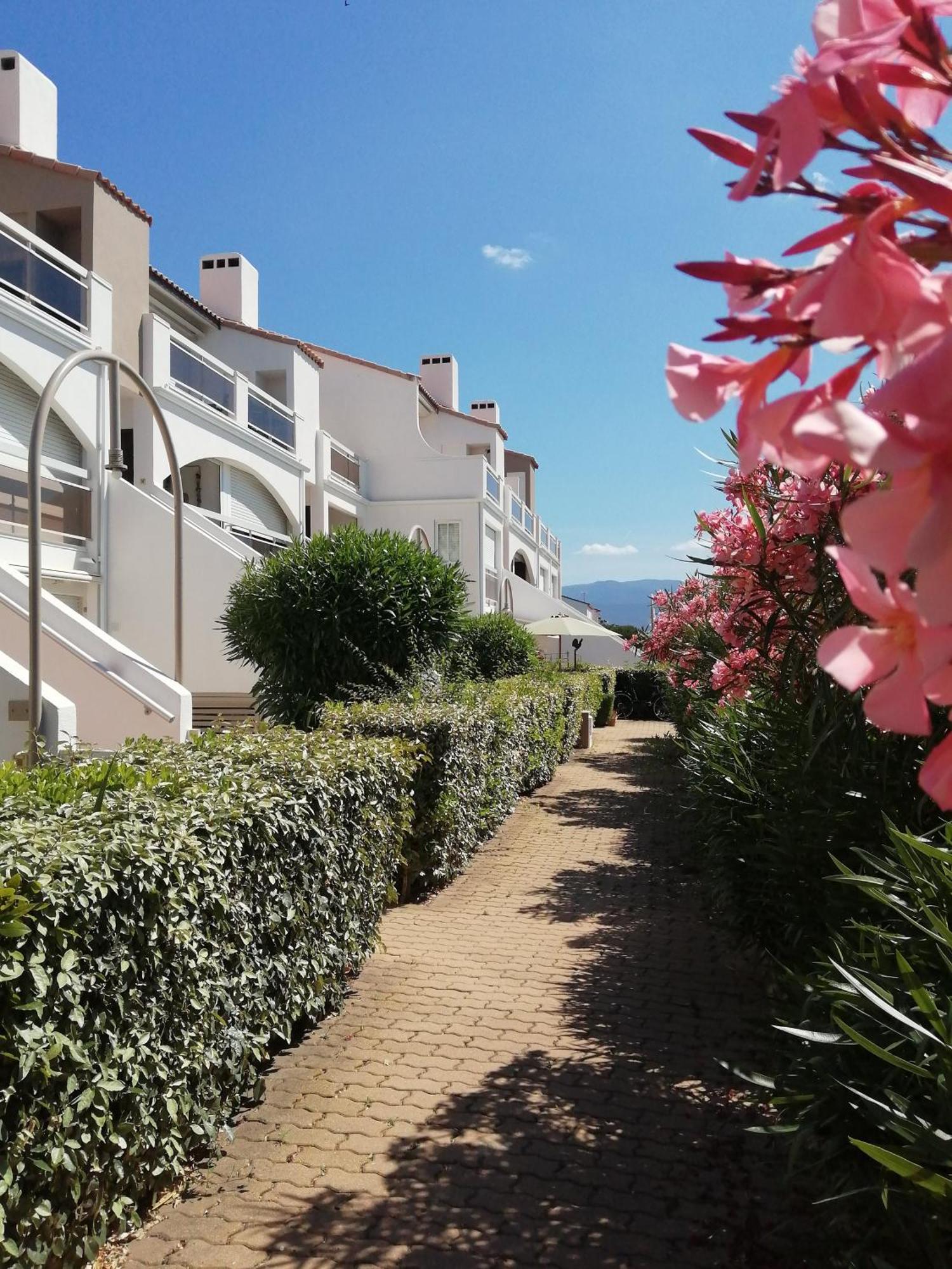 Appartamento Vue Lagune Et Bateaux A 100M De La Plage Saint-Cyprien  Esterno foto